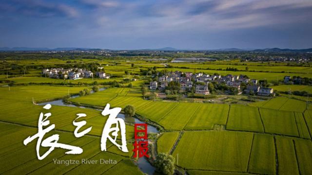 九游体育app下载-【长三角日报】“苏超”第四周赛事，预约购票提前